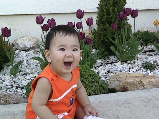 20030412IMG_0199.JPG