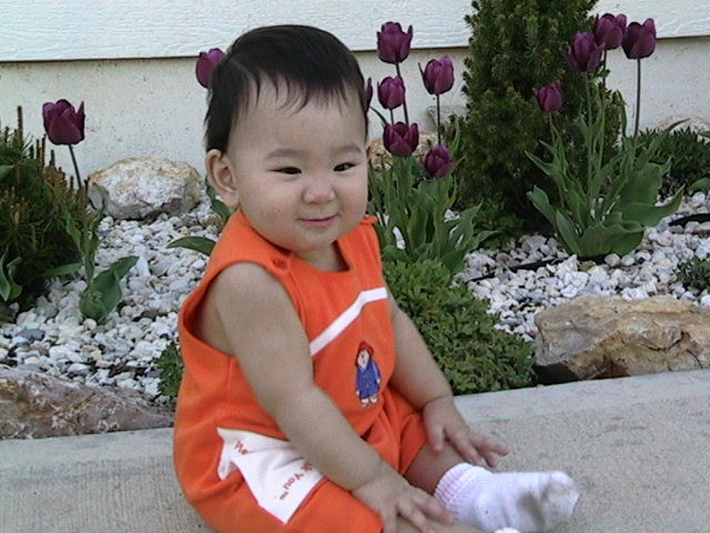 20030412IMG_0200.JPG