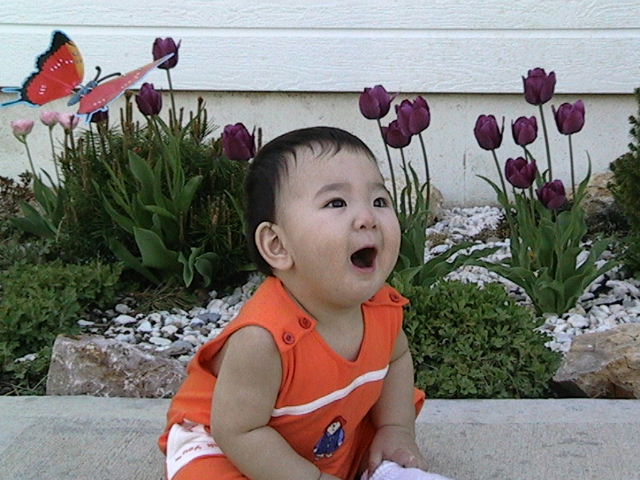 20030412IMG_0201.JPG