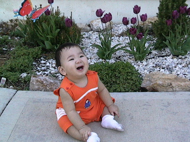 20030412IMG_0202.JPG