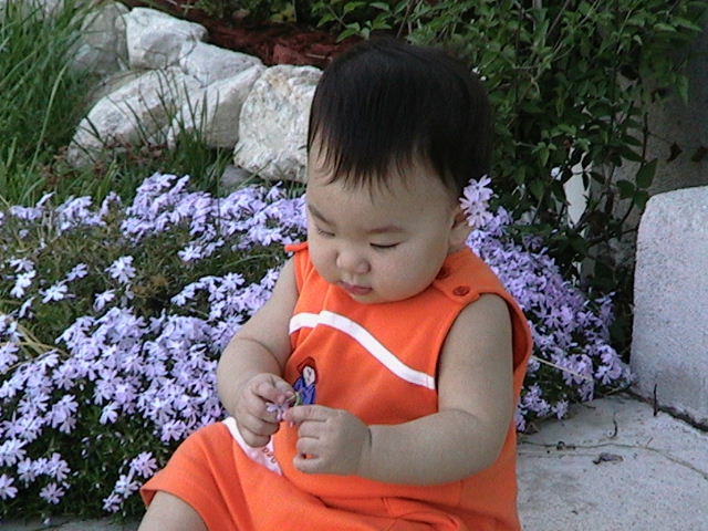 20030412IMG_0205.JPG