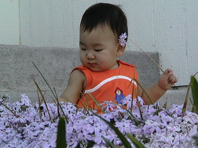 20030412IMG_0208.JPG