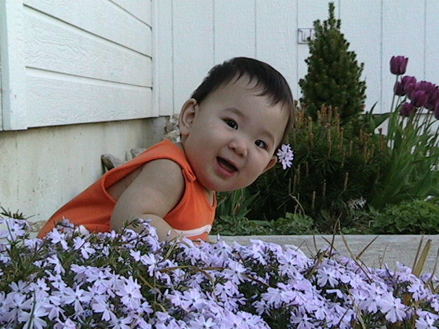 20030412IMG_0210.JPG